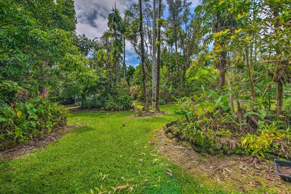 Property grounds - Cozy Pahoa Hideaway Near Black-Sand Beaches! (Pahoa)