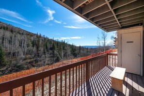 Property grounds - True Ski In/Out TH w/Amazing Slope Views-Heated Pool-Hot Tub-Gym-W/D in Unit-Office-Decks (Steamboat Springs)