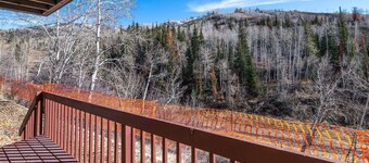 Ski In/Out TH w/Amazing Slope Views-Heated Pool-Hot Tub-Gym-Tennis-W/D in Unit-Office-Decks