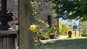 Un edificio rústico de piedra con una escalera de madera, un jardín con rosas amarillas y vistas al campo.