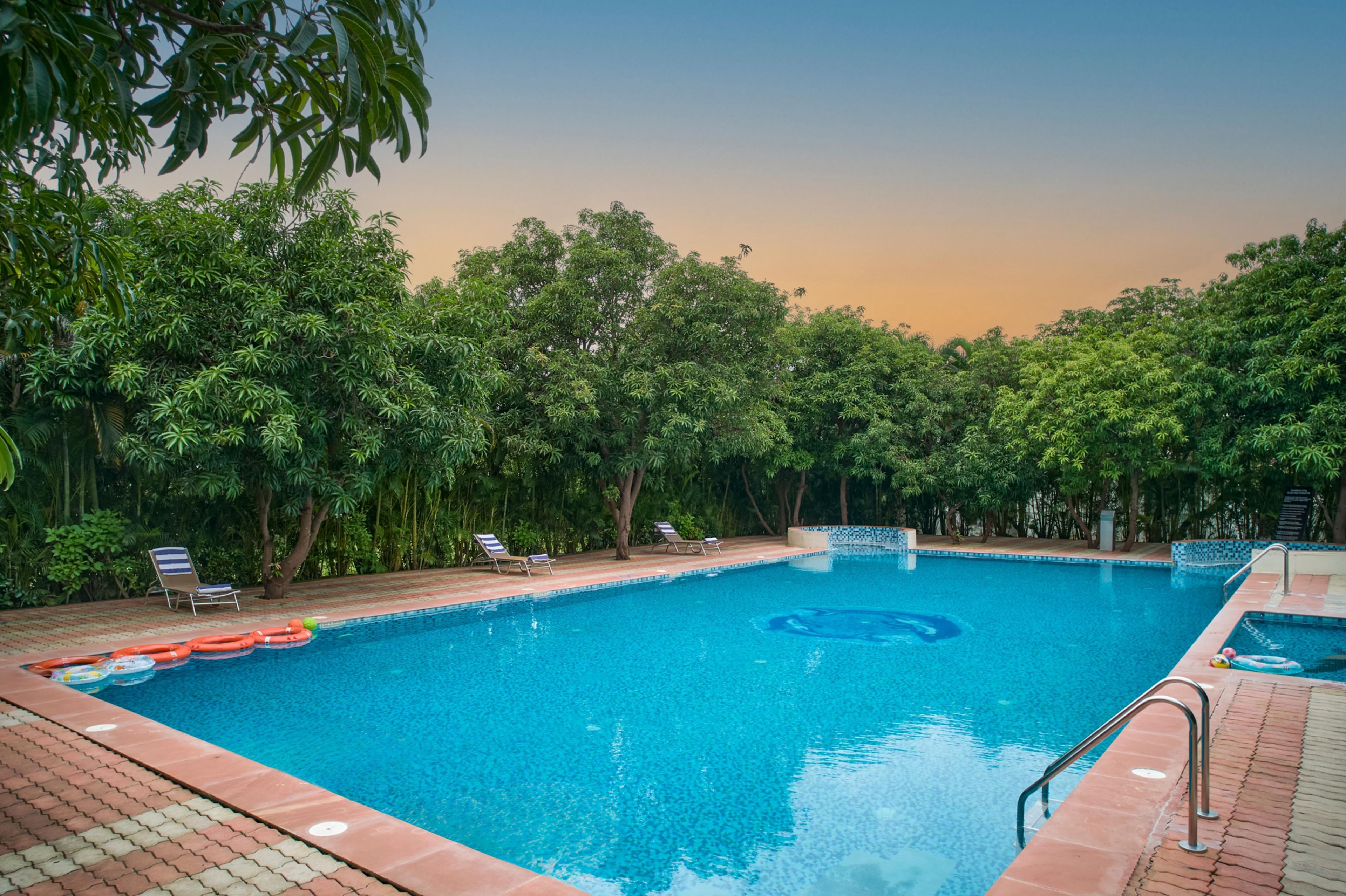 A rectangular swimming pool with a tiled edge, surrounded by lush green trees.