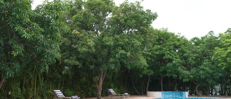 حمام سباحة
