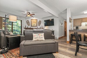 تلفزيون، مدفأة، مشغل دي في دي، كُتُب