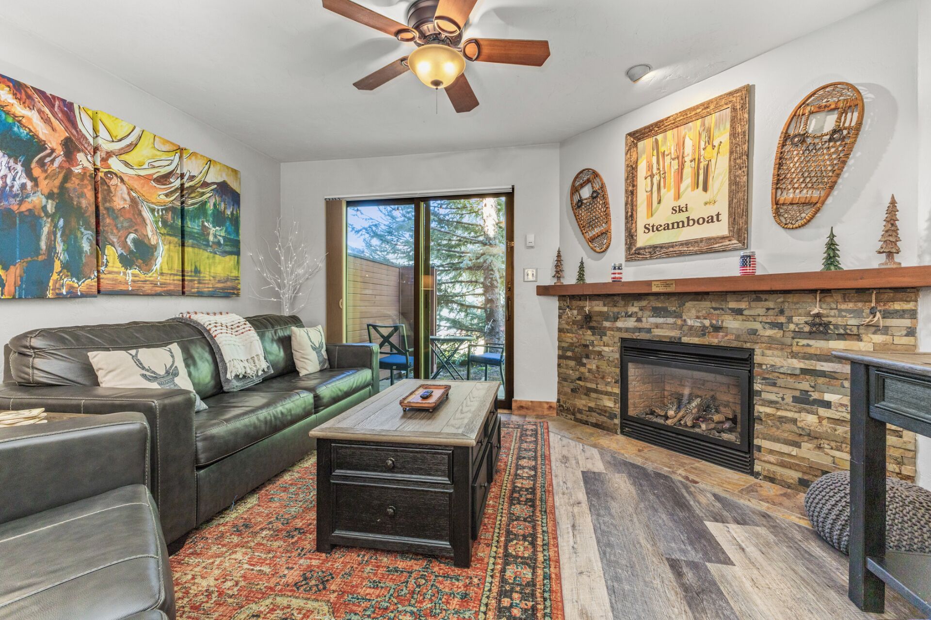 TV, fireplace, DVD player, books