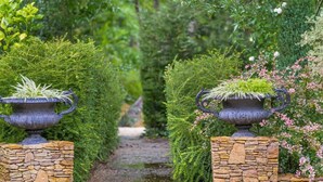 Uma passagem no jardim ladeada por pilares de pedra com grandes vasos, cercada por vegetação exuberante e plantas floridas.