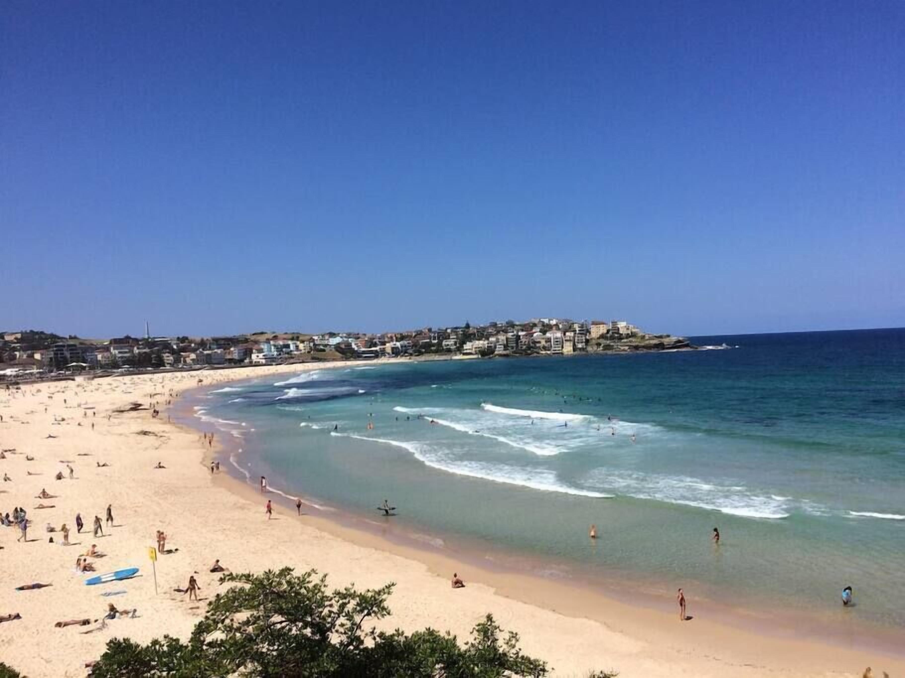 1BR Bondi Beach Apartment - 200m from Bondi Beach
