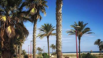Une promenade en bord de mer, bordée de palmiers, avec des bancs et une vue dégagée sur l’océan.