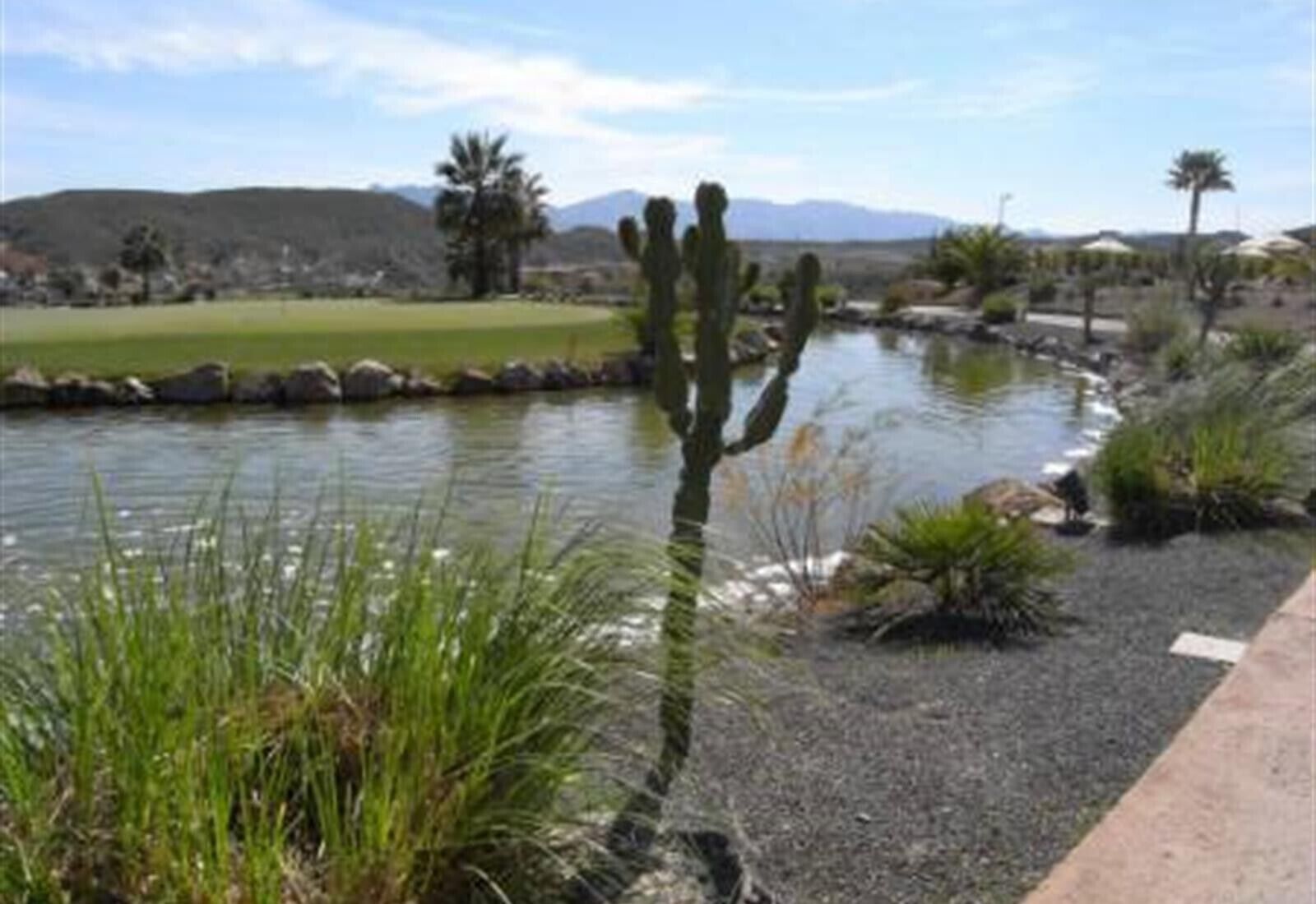 Paisaje desértico con una masa de agua, cactus y una cadena montañosa distante.