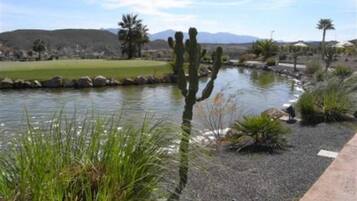 Paisaje desértico con una masa de agua, cactus y una cadena montañosa distante.