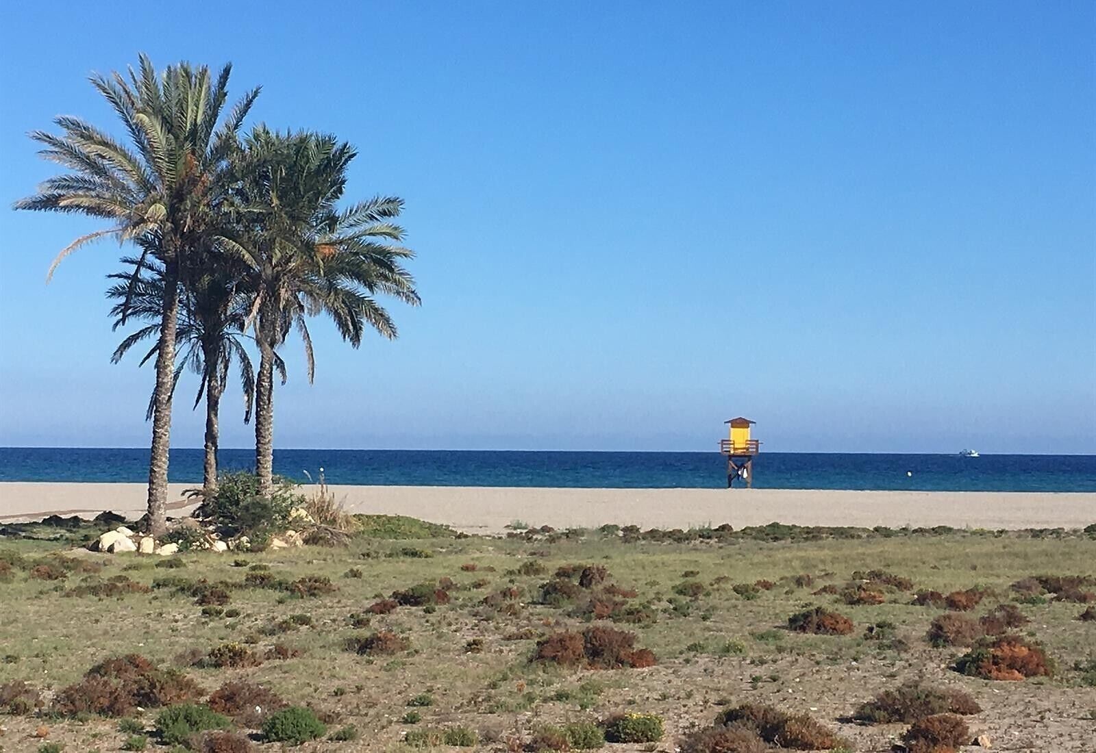 A beach with palm trees, a lifeguard tower, and a clear blue sky.