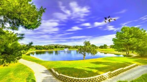 Un parc paisible avec un étang, des arbres et un ciel dégagé.