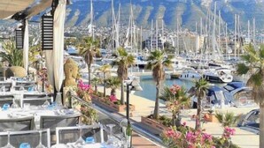 Un port de plaisance avec des bateaux, des palmiers et une montagne en arrière-plan.