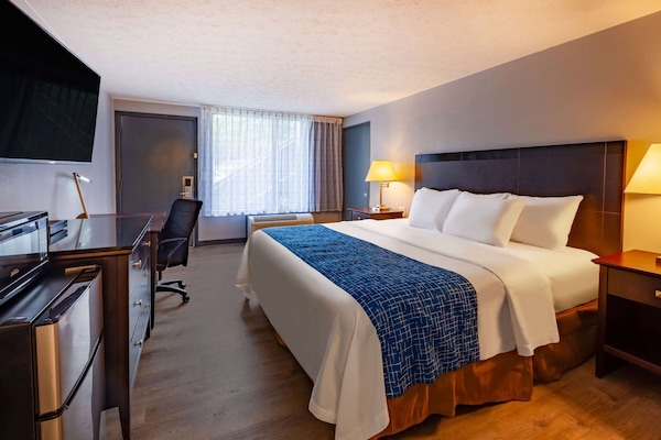 Room, 1 King Bed, Non Smoking | Premium bedding, pillowtop beds, blackout drapes, iron/ironing board