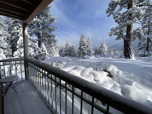 Brand New Listing! 5 minute walk to Canyon Lodge! Newly Updated Two-Bed, Two-Bath, Mountainback #14