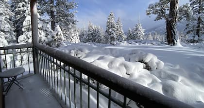 Brand New Listing! 5 minute walk to Canyon Lodge! Newly Updated Two-Bed, Two-Bath, Mountainback #14