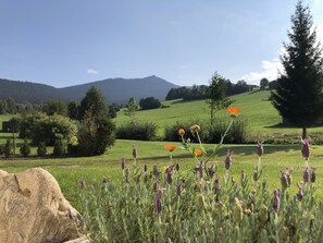 Terrain de l’hébergement 