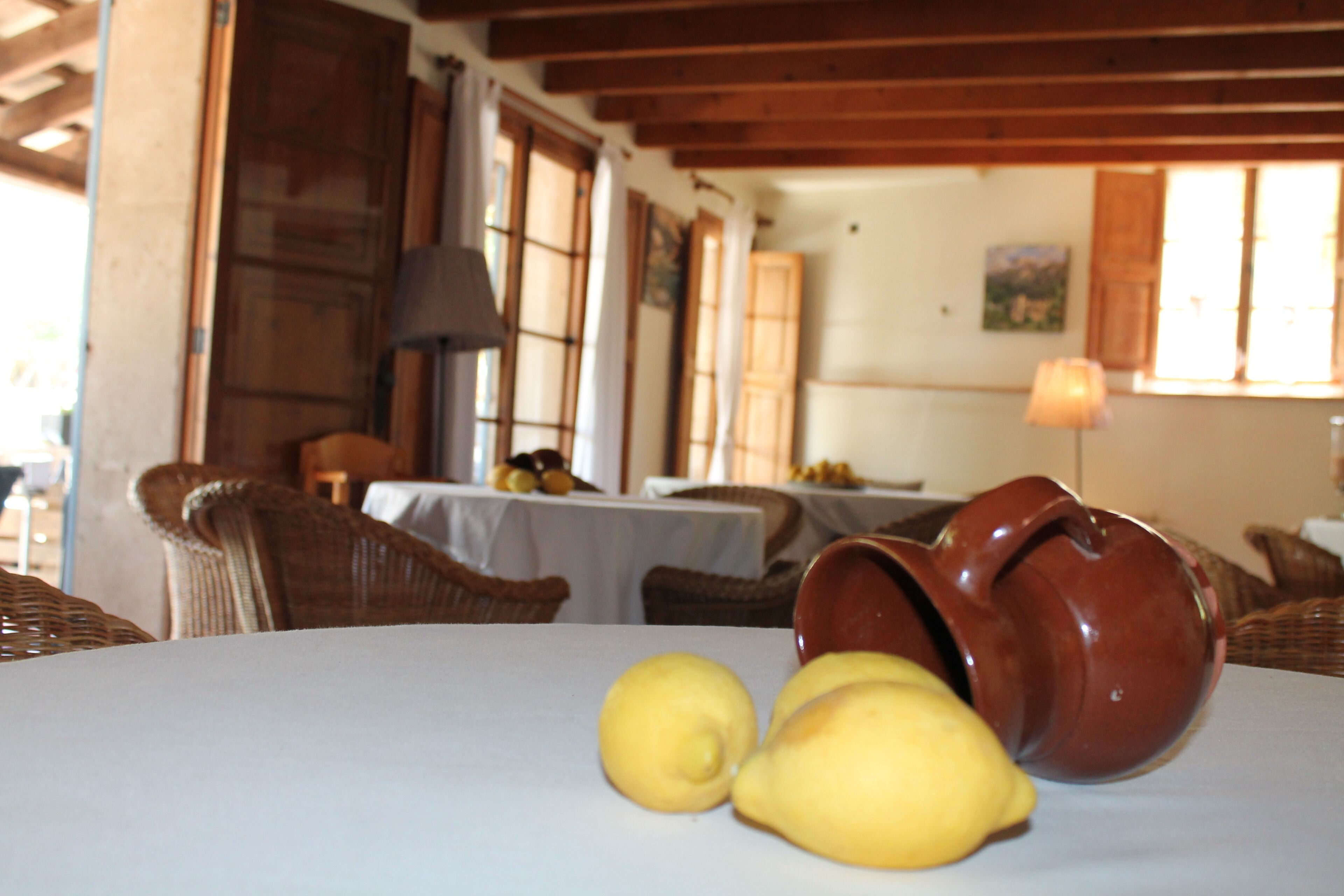 breakfast, lunch served; mediterranean cuisine, al fresco dining