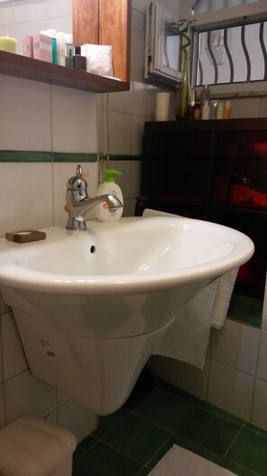 Een douche, een bubbelbad, een haardroger, een bidet