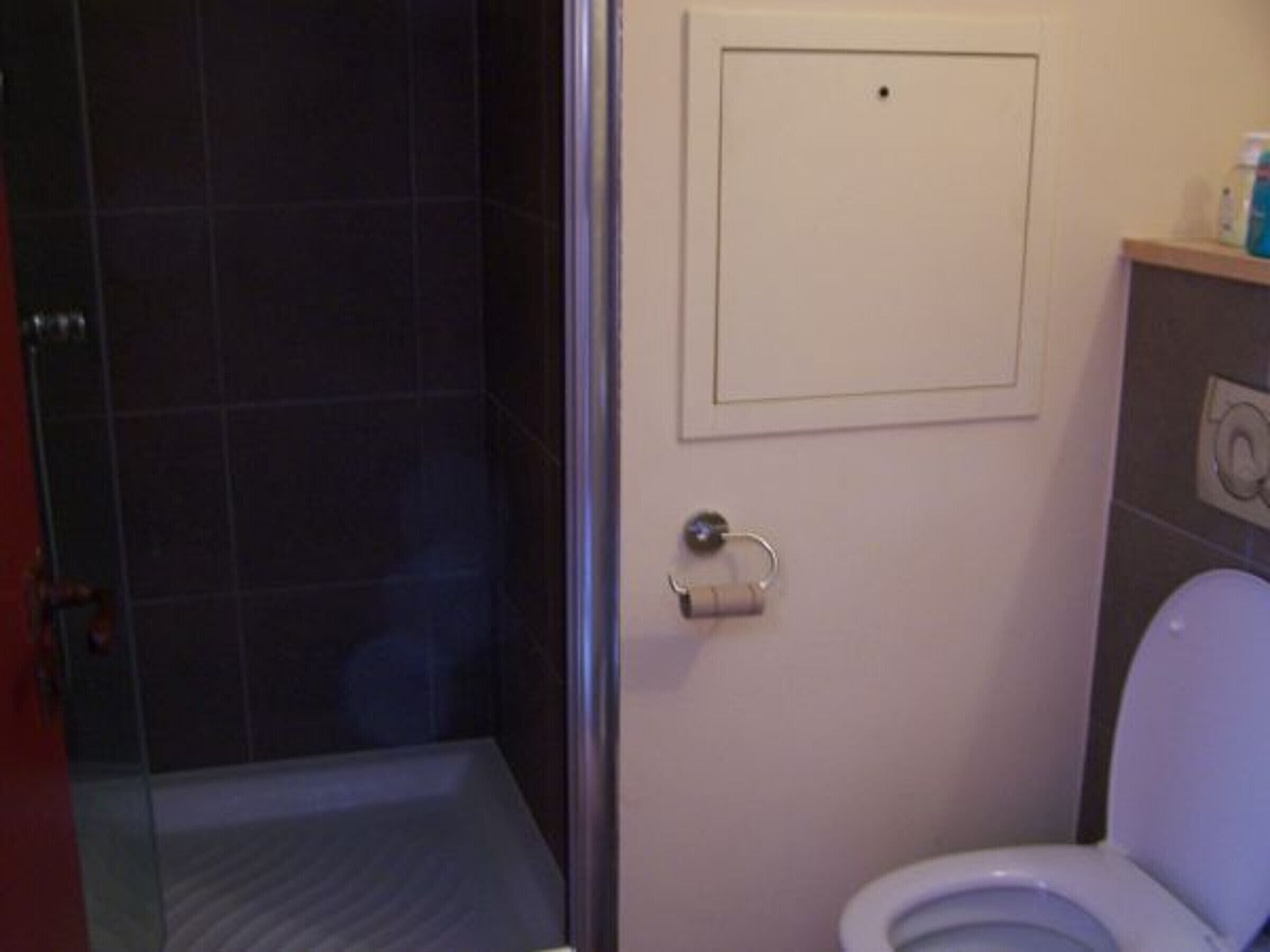 Een badkamer met een douche, toilet en een klein plankje met toiletartikelen.