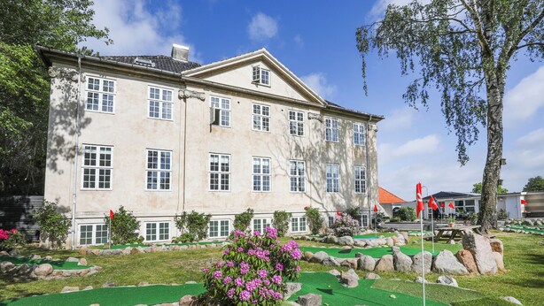 A large building with multiple windows and a well-maintained lawn with artificial grass and rocks.