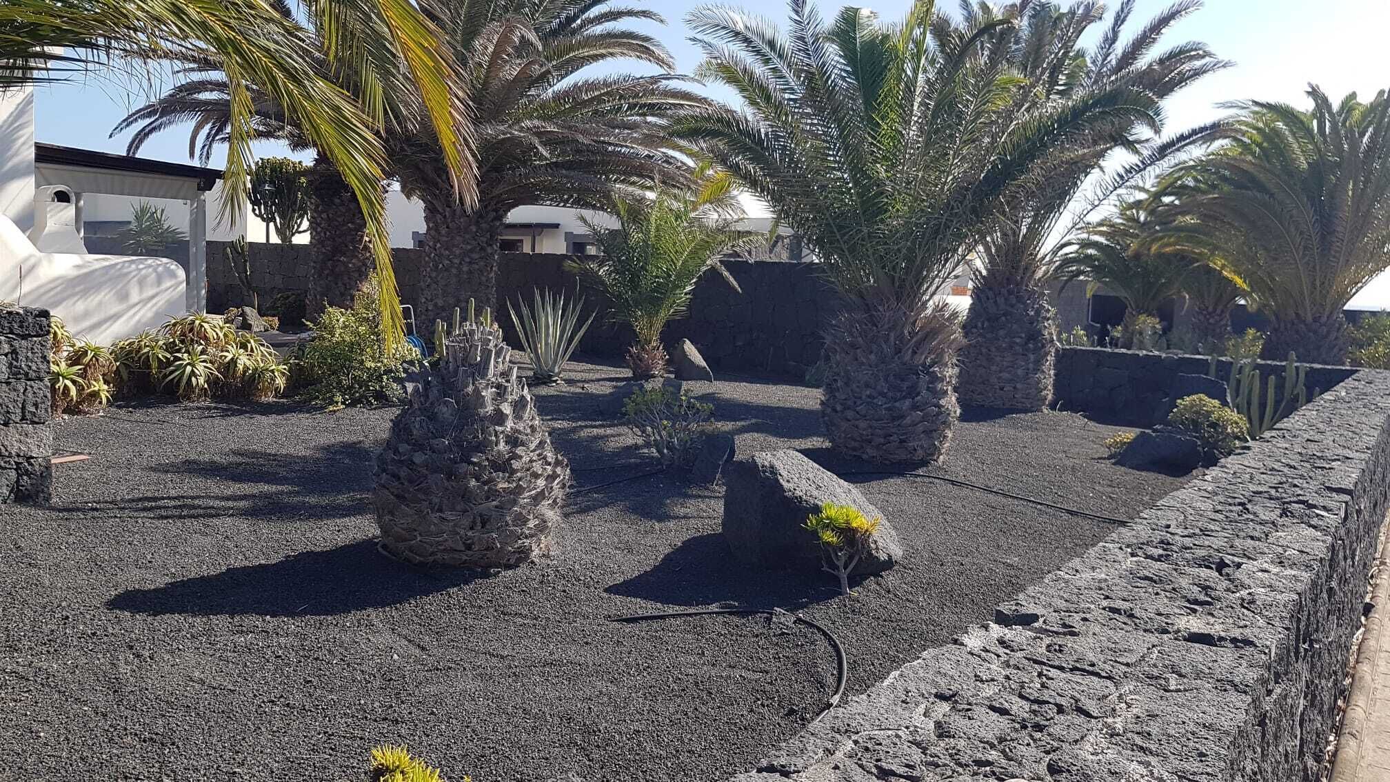 Een tuin met palmbomen en cactussen, een stenen muur en een gebouw op de achtergrond.