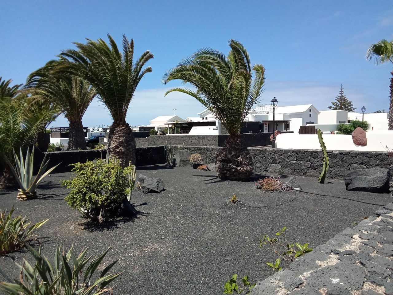 Un'area esterna curata con palme, un muro in pietra e un vialetto lastricato.