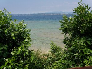 Eine Küstenansicht mit klarem Wasser, grüner Vegetation und Bergen in der Ferne.
