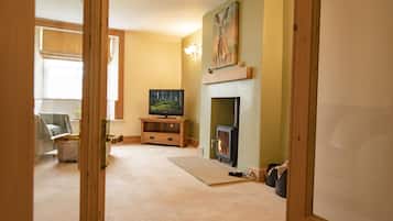 電視、壁爐、DVD 播放機