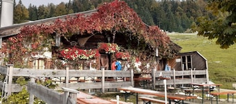 Apartment Kampenwand