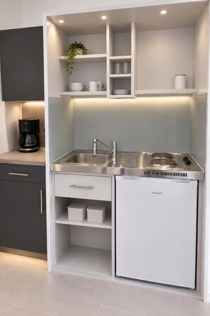 A compact kitchen with a built-in stove, two sinks, and storage cabinets. - Kampenwand Apartment (Aschau im Chiemgau)