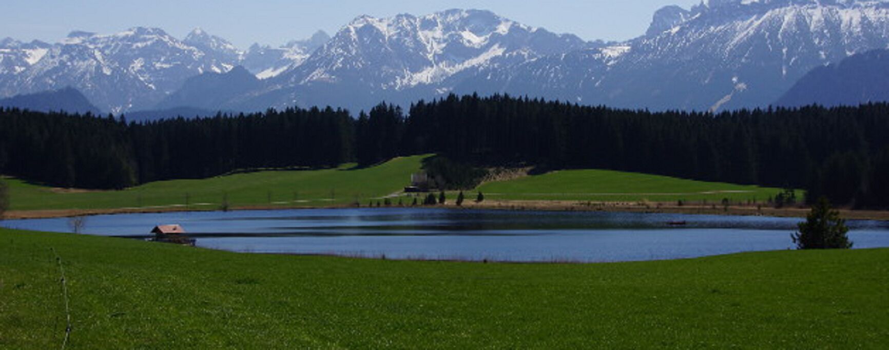 A lake surrounded by green fields and a forest, with mountains in the background.