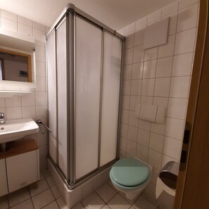 Shower, hair dryer, soap, toilet paper