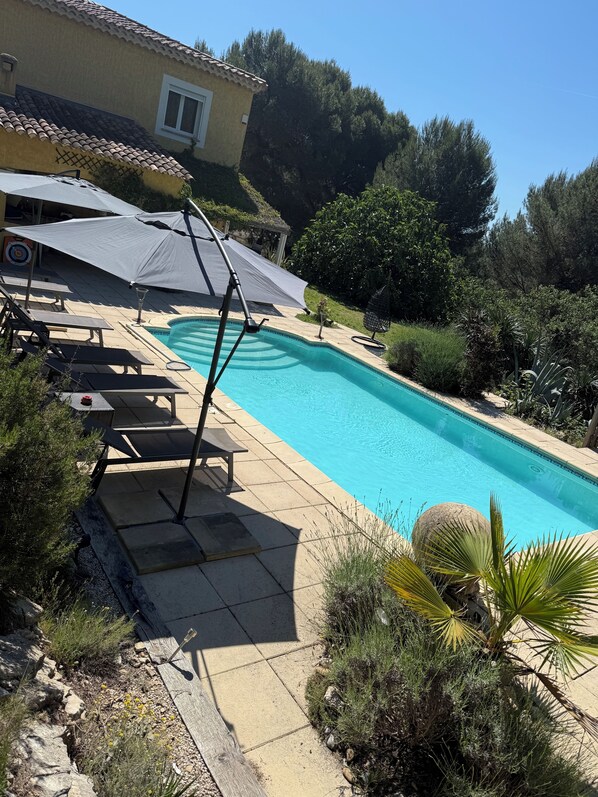 A swimming pool with lounge chairs and umbrellas, surrounded by greenery and a house.