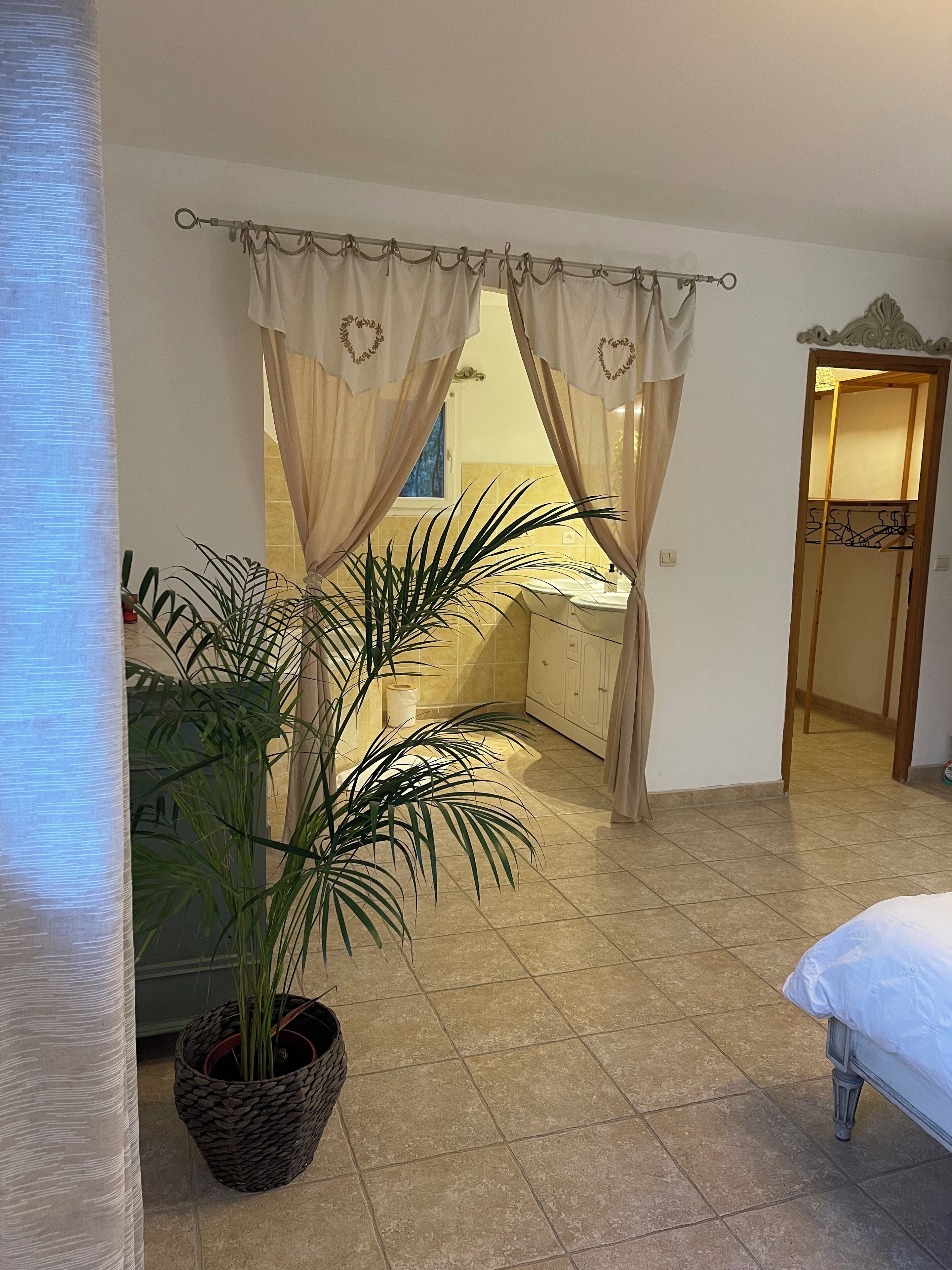 A hotel room with a bed, a potted plant, a bathroom with a sink and mirror, and a door leading to another room.