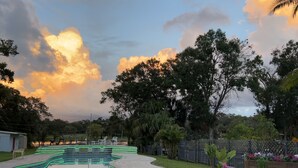 A swimming pool with a paved deck, surrounded by trees and a wooden fence. - Tampa River Oasis (Tampa)