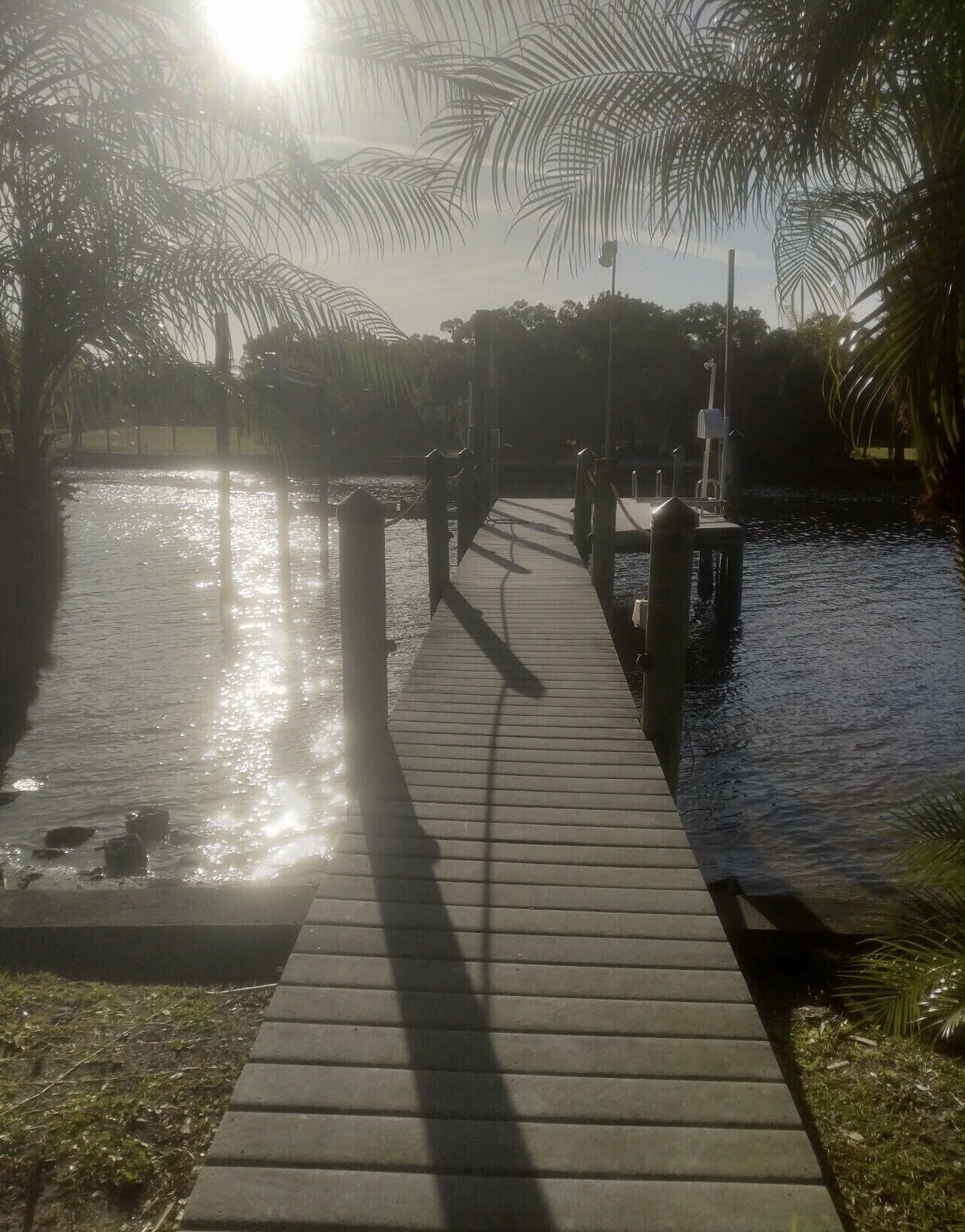 A wooden boardwalk leading to a body of water, surrounded by palm trees and a lamp post.