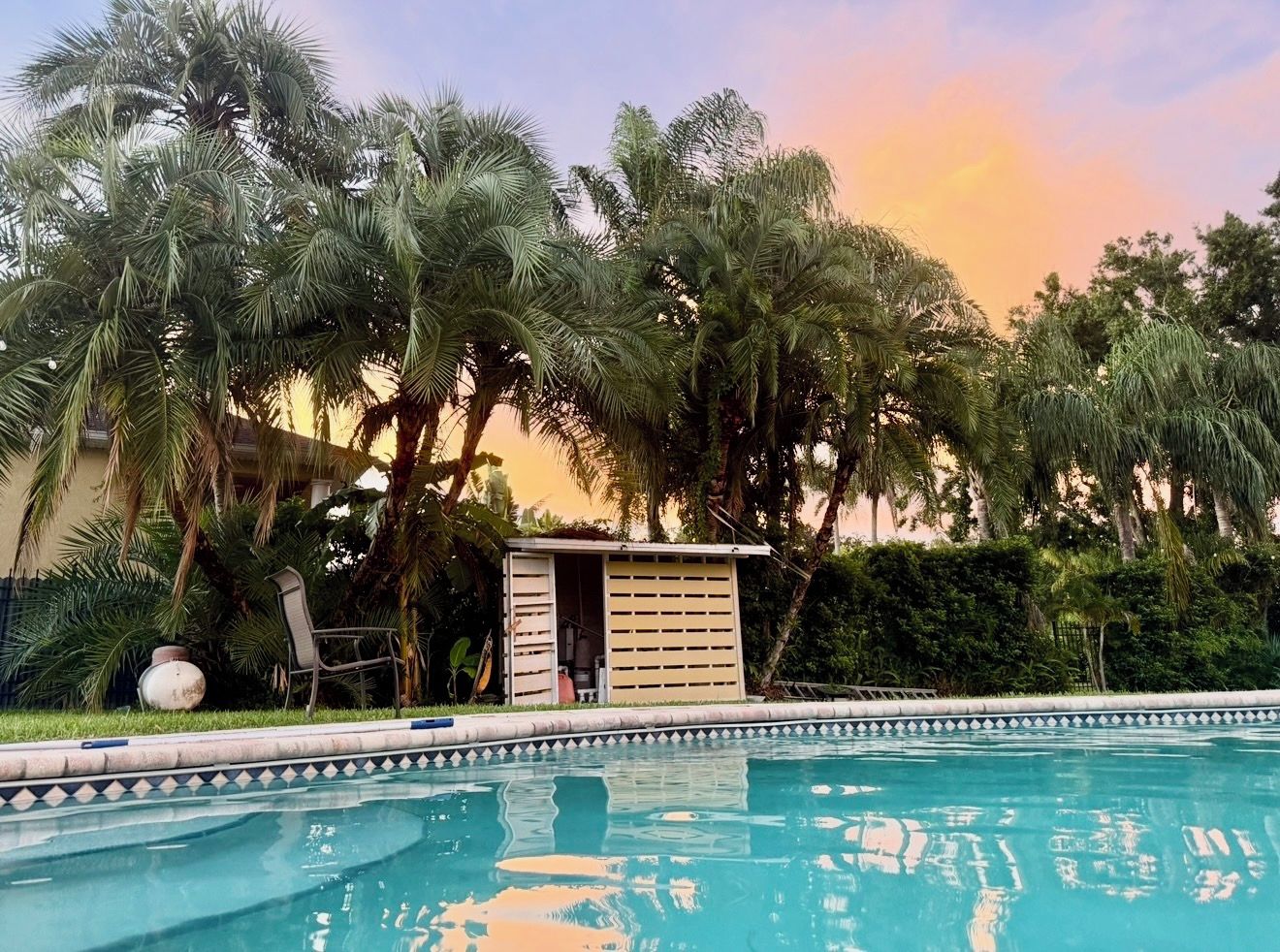 A swimming pool with a tiled edge, surrounded by palm trees and a small structure with a slatted roof.