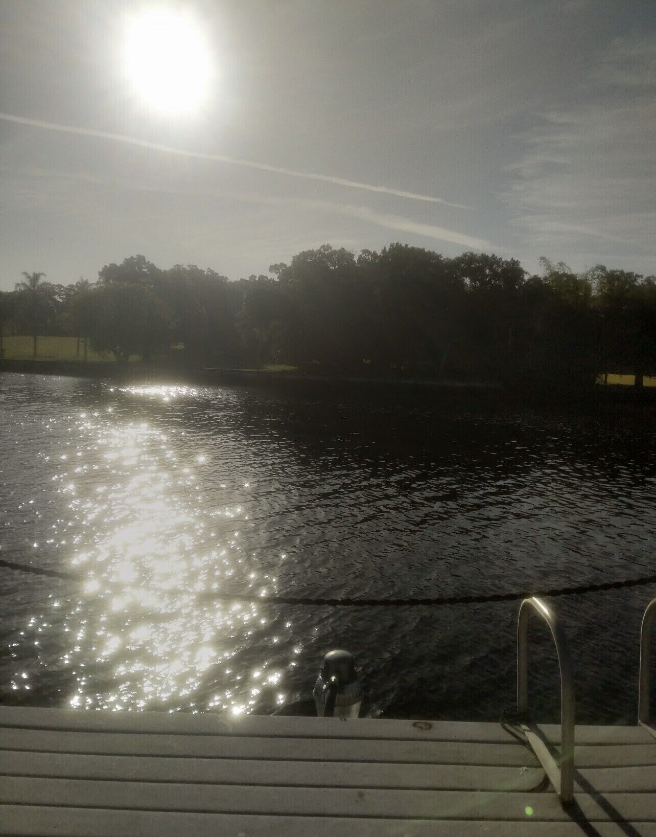 Een scheepdek met uitzicht op een rustig wateroppervlak dat zonlicht weerkaatst, omringd door bomen.