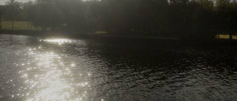 Een scheepdek met uitzicht op een rustig wateroppervlak dat zonlicht weerkaatst, omringd door bomen.
