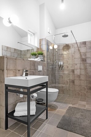 Shower, hair dryer, towels