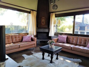 Télévision, cheminée