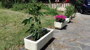 Property grounds - Villa Anna Studio apartment with separate entrance (osimo)