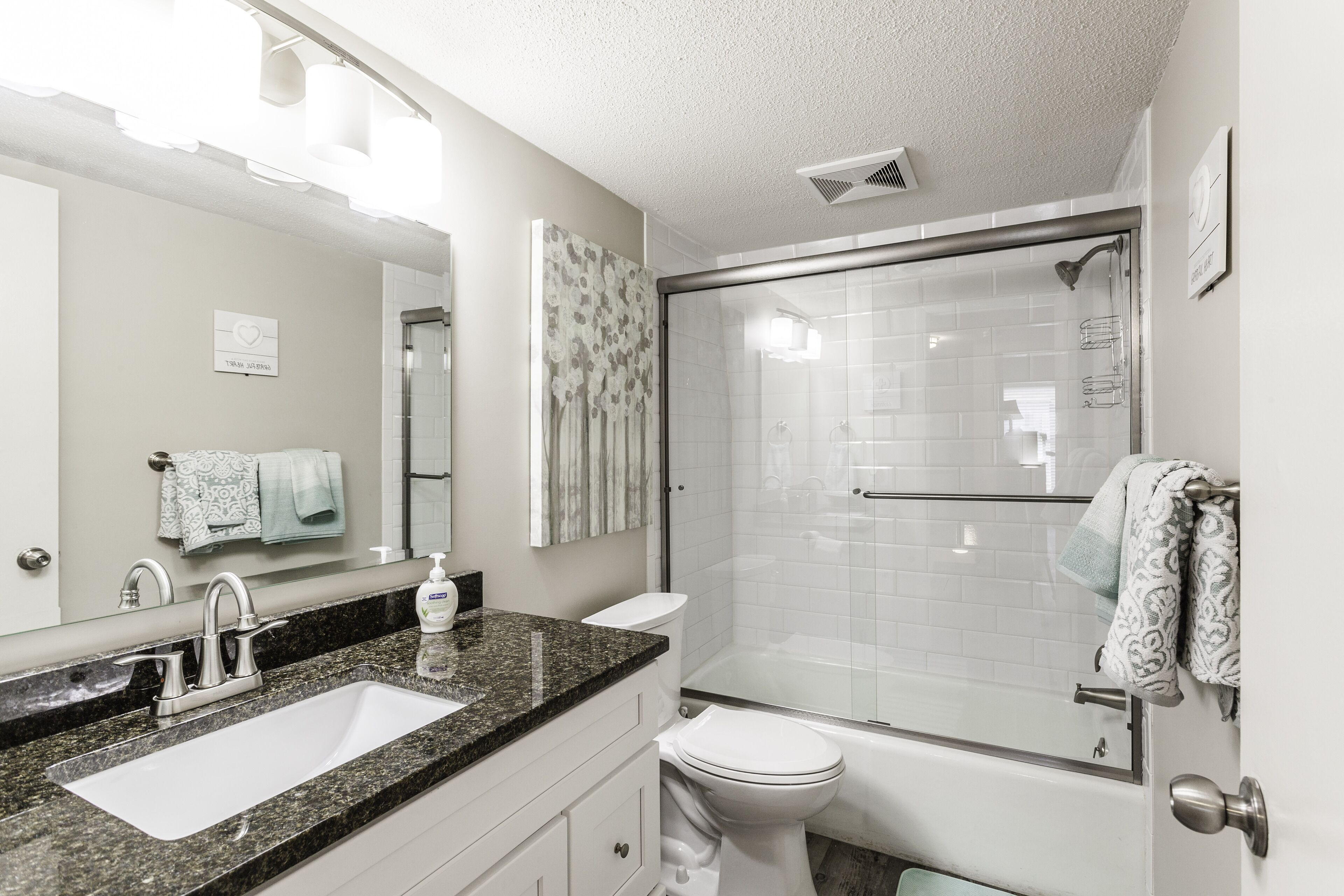Combined shower/bathtub, hair dryer, towels, soap