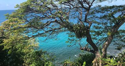 Bacolet Retreat with stunning sea view