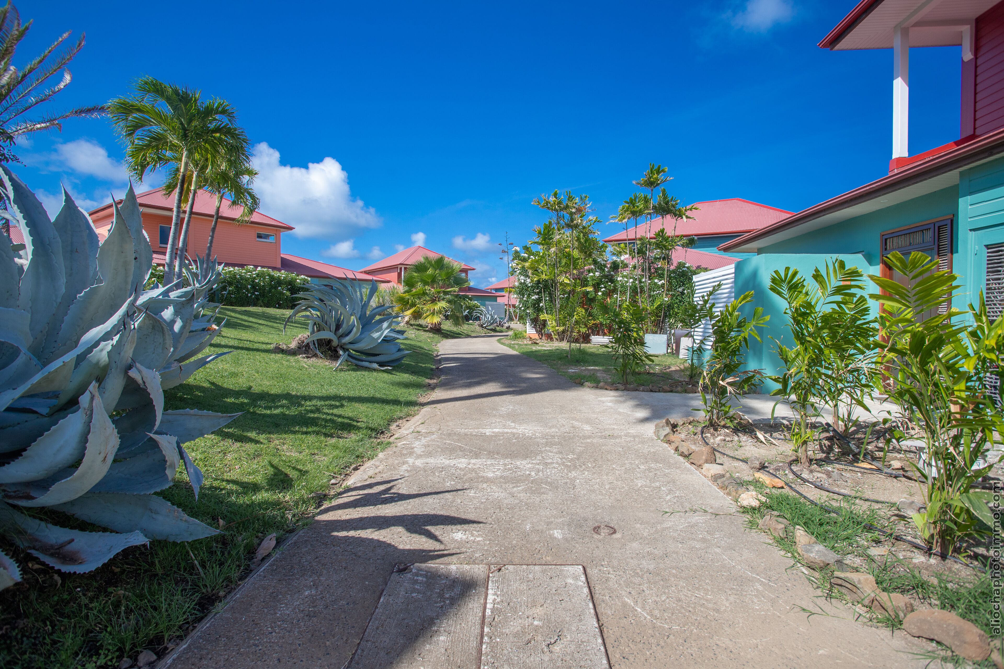 A pathway leading to a building with a red roof, surrounded by tropical plants and a clear blue sky.