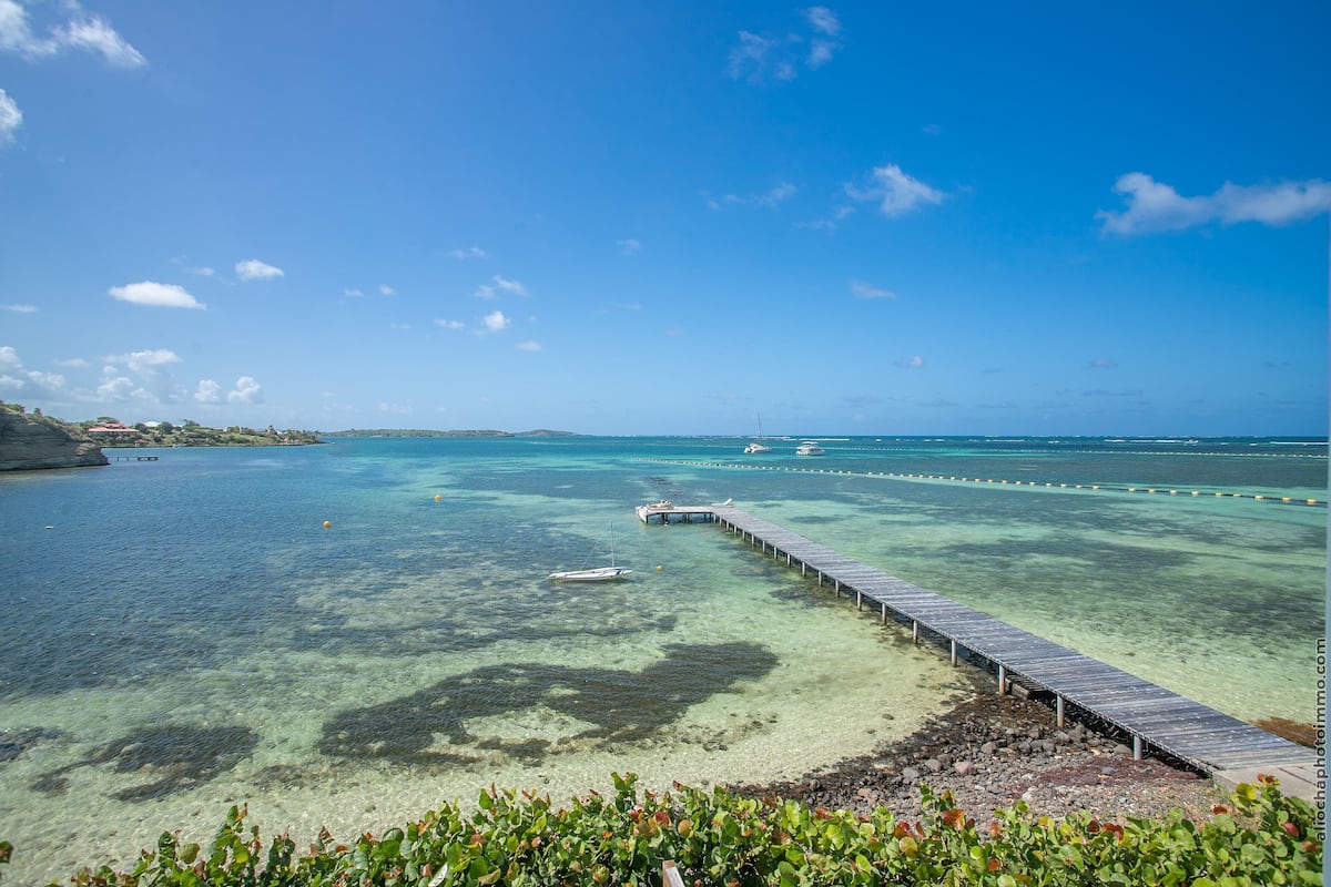 Apartment, 1 Bedroom, Oceanfront | 1 bedroom, premium bedding, pillowtop beds, in-room safe