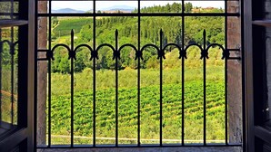 Vista a través de una ventana en arco con barandilla metálica, que da a un paisaje verde con árboles y cielo despejado.