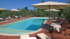 Una piscina con sillas de descanso y sombrillas, rodeada de follaje.