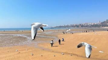 Praia