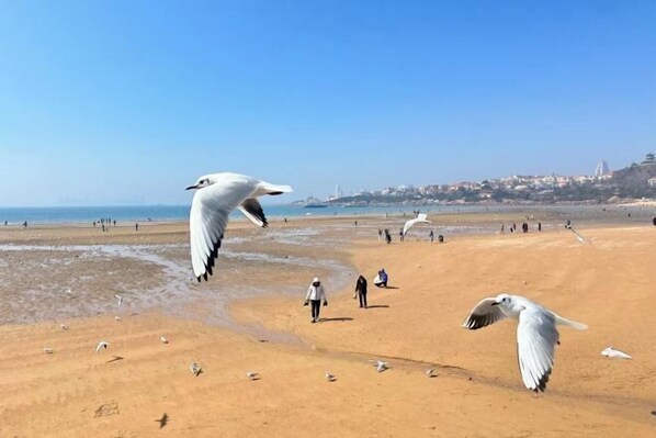 Beach - Grand Madison (Qingdao Wusi Square Sea View) (Qingdao)